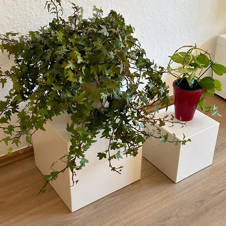 Stadtflair Am Portikus Apartman *