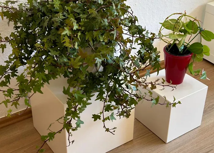 Stadtflair Am Portikus 아파트 *